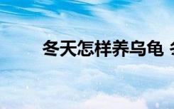 冬天怎样养乌龟 冬季如何养殖乌龟