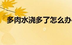多肉水浇多了怎么办 多肉水浇多如何补救