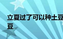 立夏过了可以种土豆吗 立夏过了能不能种土豆