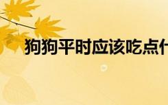 狗狗平时应该吃点什么 狗吃的食物介绍