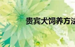 贵宾犬饲养方法 如何养贵宾犬