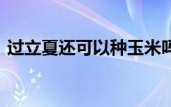 过立夏还可以种玉米吗 过立夏还能种玉米吗
