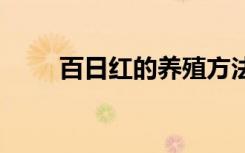 百日红的养殖方法 百日红如何养殖