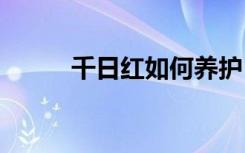 千日红如何养护 怎么养殖千日红