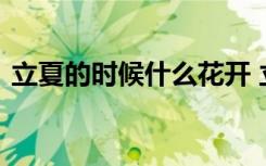 立夏的时候什么花开 立夏节气开花的花介绍