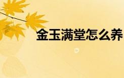 金玉满堂怎么养 如何养金玉满堂