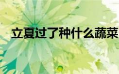 立夏过了种什么蔬菜 立夏过了种哪些蔬菜