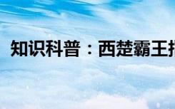 知识科普：西楚霸王指的是哪一位历史人物
