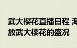 武大樱花直播日程 淘宝直播将将连续10天播放武大樱花的盛况