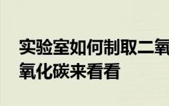 实验室如何制取二氧化碳 实验室如何制取二氧化碳来看看
