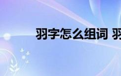 羽字怎么组词 羽字的组词有哪些