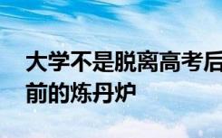 大学不是脱离高考后的游乐园 而是步入社会前的炼丹炉