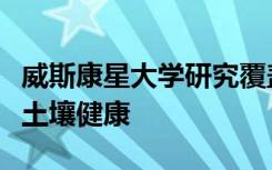 威斯康星大学研究覆盖作物高堆肥率如何影响土壤健康