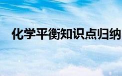 化学平衡知识点归纳 关于化学平衡知识点