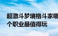 超激斗梦境格斗家哪个职业好 超激斗梦境哪个职业最值得玩