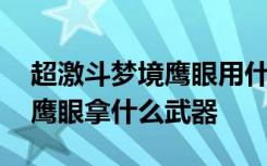 超激斗梦境鹰眼用什么类型武器 超激斗梦境鹰眼拿什么武器