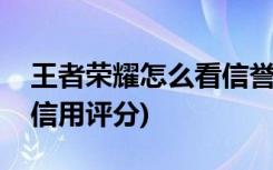 王者荣耀怎么看信誉积分(如何查询王者荣耀信用评分)