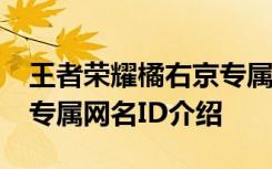 王者荣耀橘右京专属网名ID 王者荣耀橘右京专属网名ID介绍