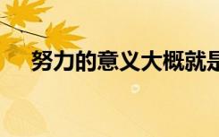 努力的意义大概就是 努力的意义是什么