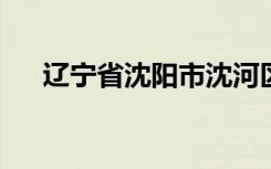 辽宁省沈阳市沈河区文化路小学怎么样