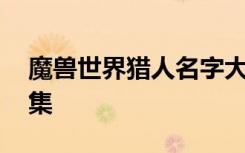 魔兽世界猎人名字大全 魔兽世界猎人名字锦集