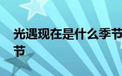 光遇现在是什么季节10.2 光遇现在是什么季节