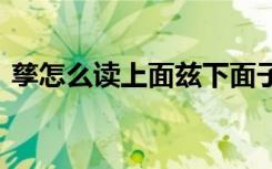 孳怎么读上面兹下面子念什么 孳是什么意思