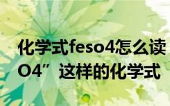 化学式feso4怎么读 Word中如何输入“Fe3O4”这样的化学式
