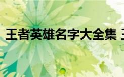 王者英雄名字大全集 王者英雄名字大全精选