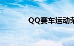 QQ赛车运动荣誉勋章第二名