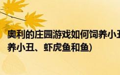 奥利的庄园游戏如何饲养小丑虾虎鱼(如何在奥利庄园游戏中养小丑、虾虎鱼和鱼)
