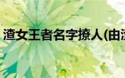 渣女王者名字撩人(由渣女王者名字撩人推荐)