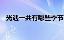 光遇一共有哪些季节 光遇一共几个季节了