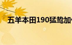 五羊本田190猛鸷加什么油 猛鸷加什么油