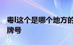 粤l这个是哪个地方的车牌号 粤W是哪里的车牌号