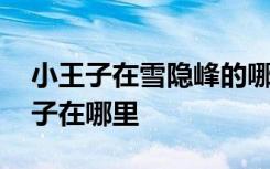 小王子在雪隐峰的哪个位置 光遇雪隐峰小王子在哪里