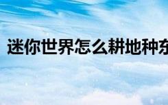 迷你世界怎么耕地种东西 迷你世界怎么耕地