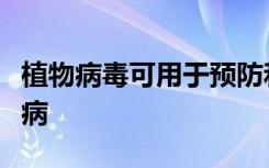 植物病毒可用于预防和治疗人类自身免疫性疾病