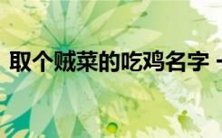 取个贼菜的吃鸡名字 一看就很菜的吃鸡名字