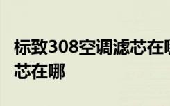 标致308空调滤芯在哪里图片 标致308空调滤芯在哪