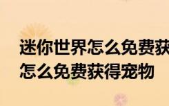 迷你世界怎么免费获得宠物激活码 迷你世界怎么免费获得宠物