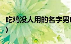 吃鸡没人用的名字男吃鸡没人用的名字男大全)