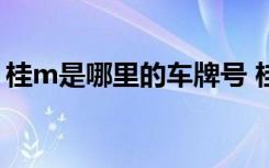 桂m是哪里的车牌号 桂B桂G是哪里的车牌号