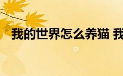 我的世界怎么养猫 我的世界驯服豹猫教程