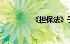《担保法》于通过并实施