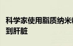 科学家使用脂质纳米粒子将基因编辑精确定位到肝脏