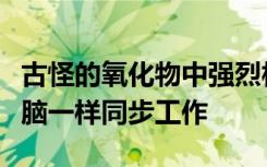 古怪的氧化物中强烈相互作用的电子可以像大脑一样同步工作