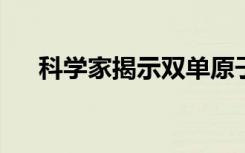 科学家揭示双单原子催化剂的协同效应