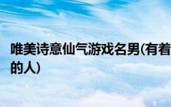 唯美诗意仙气游戏名男(有着意味深长和令人愉快的游戏名字的人)