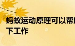 蚂蚁运动原理可以帮助未来的机器人团队在地下工作